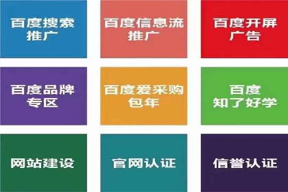 成功案例：一家初创企业如何通过百度关键词推广快速崛起